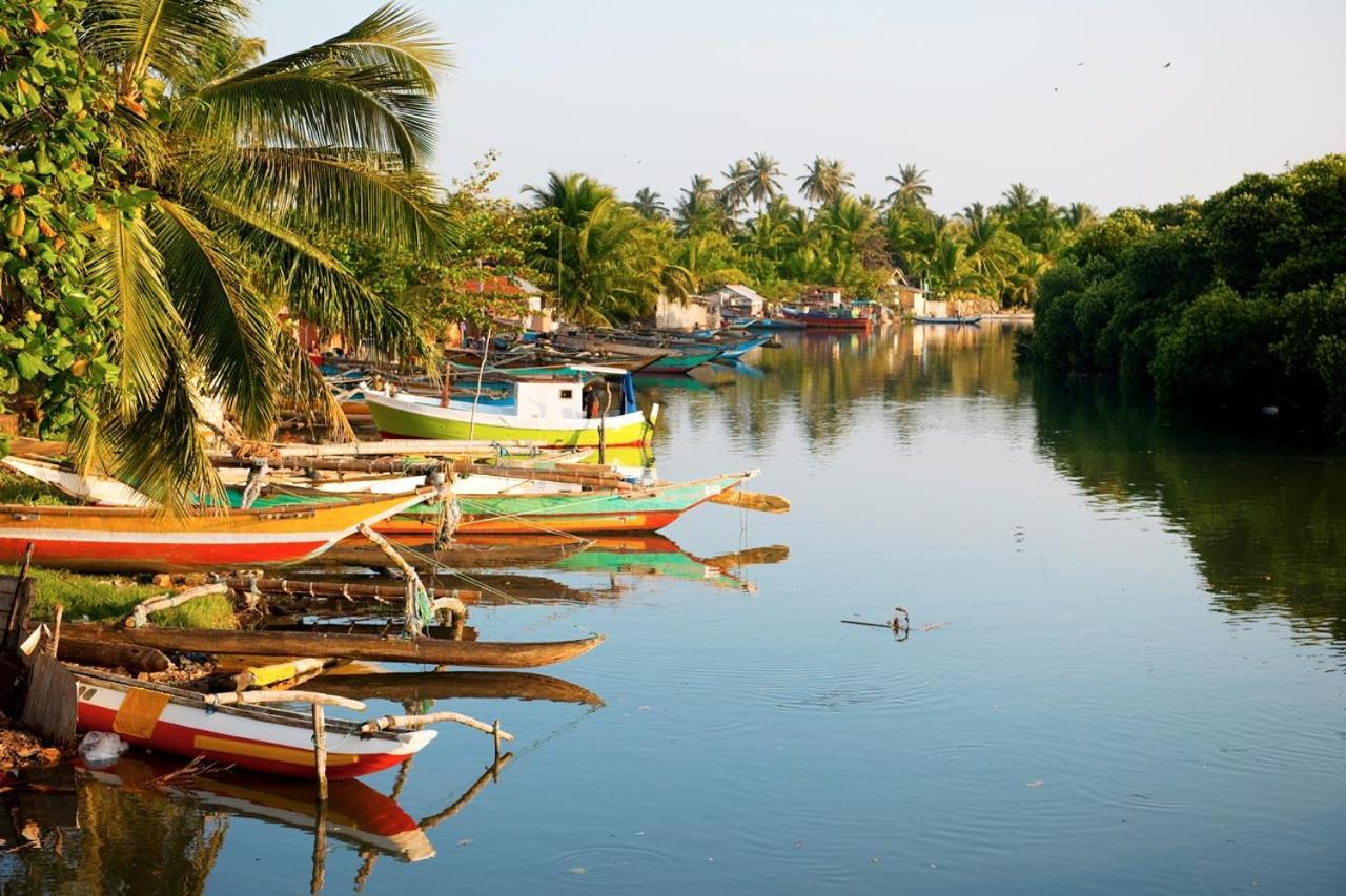 Aloe Vera Villa Negombo Eksteriør billede