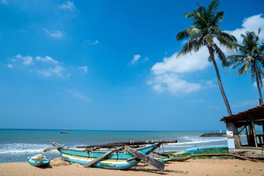 Aloe Vera Villa Negombo Eksteriør billede