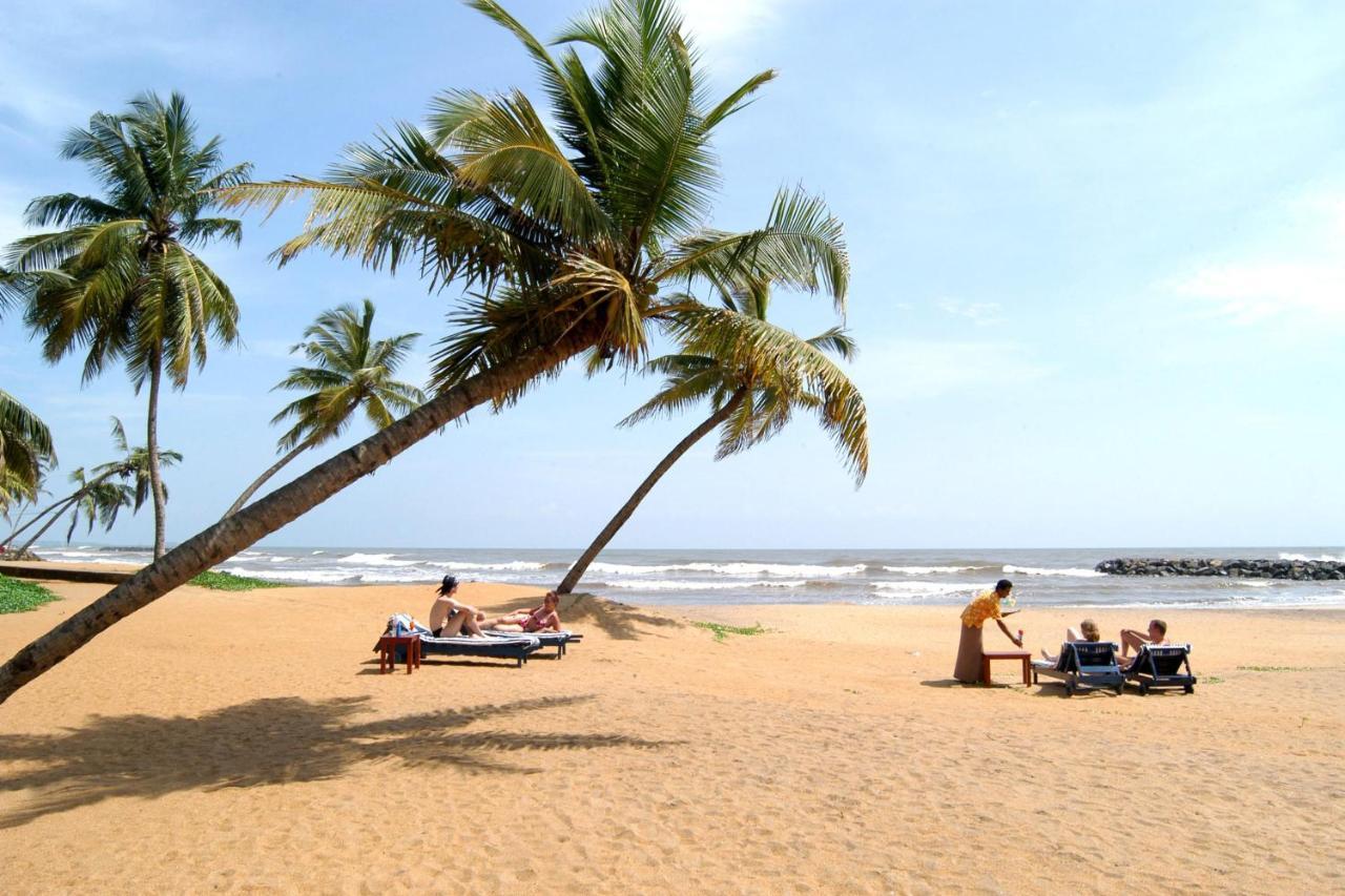 Aloe Vera Villa Negombo Eksteriør billede