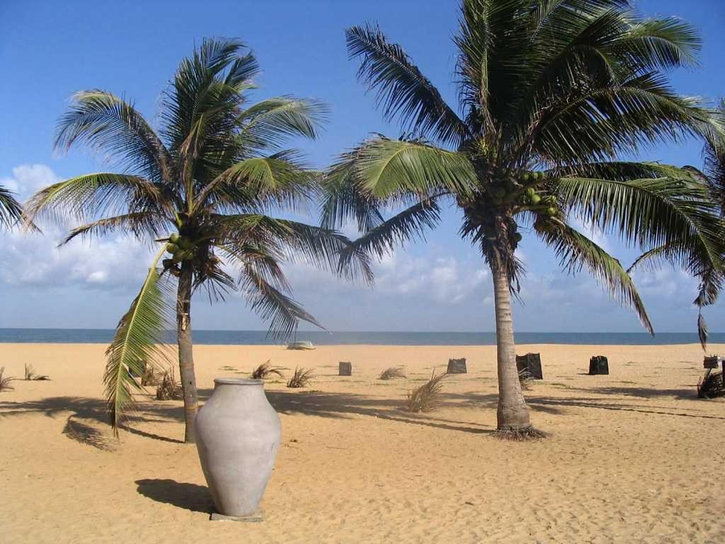 Aloe Vera Villa Negombo Eksteriør billede