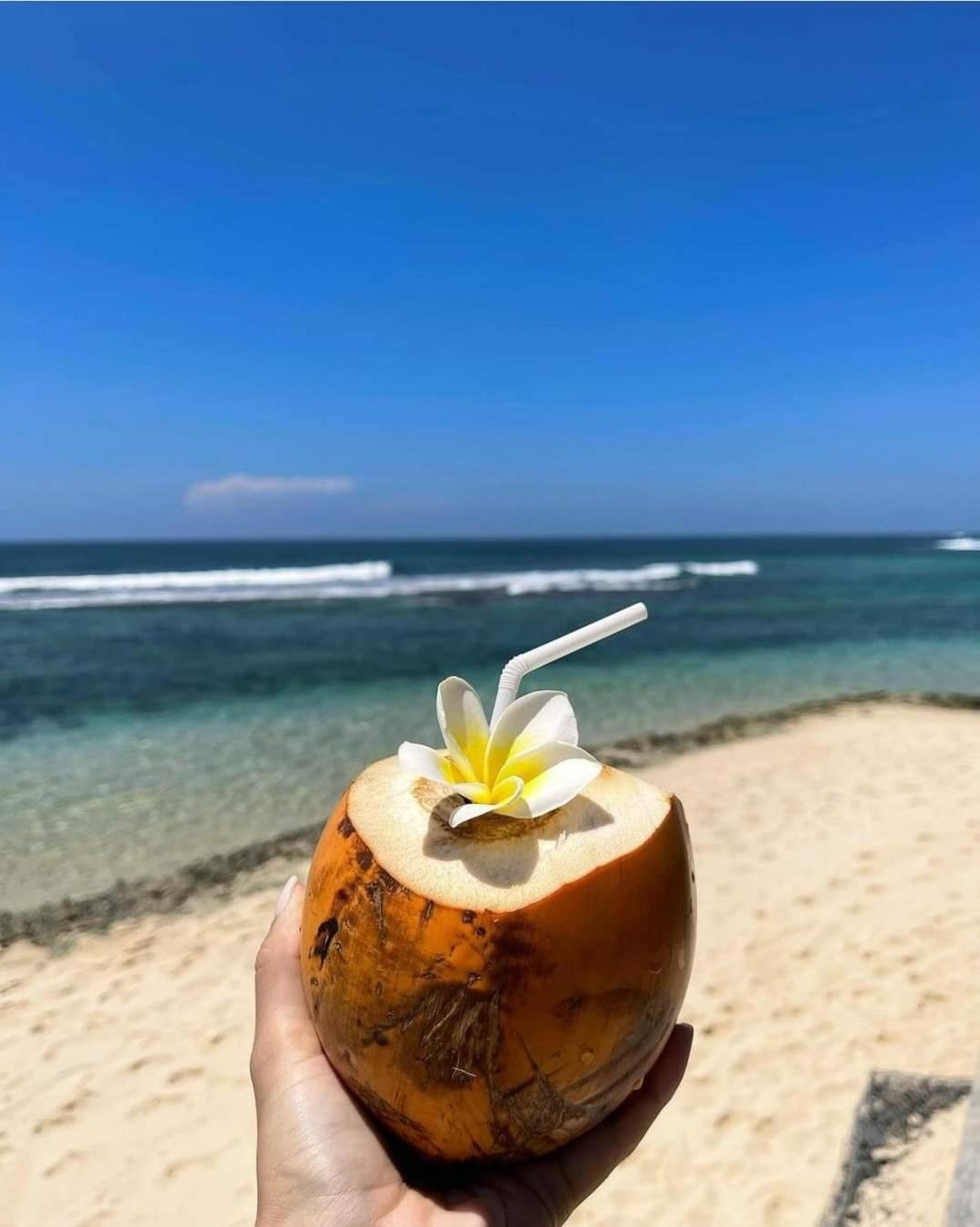 Aloe Vera Villa Negombo Eksteriør billede